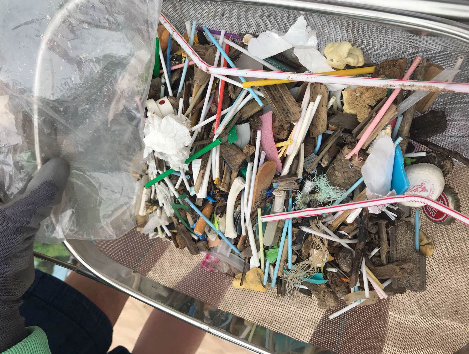 The Plastic Straw Jackpot on a Beach in Portugal