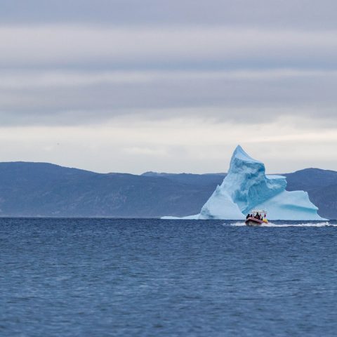 A Boat Driving Away From A Big Iceberg In Newfoundland's Conception Bay, Canada