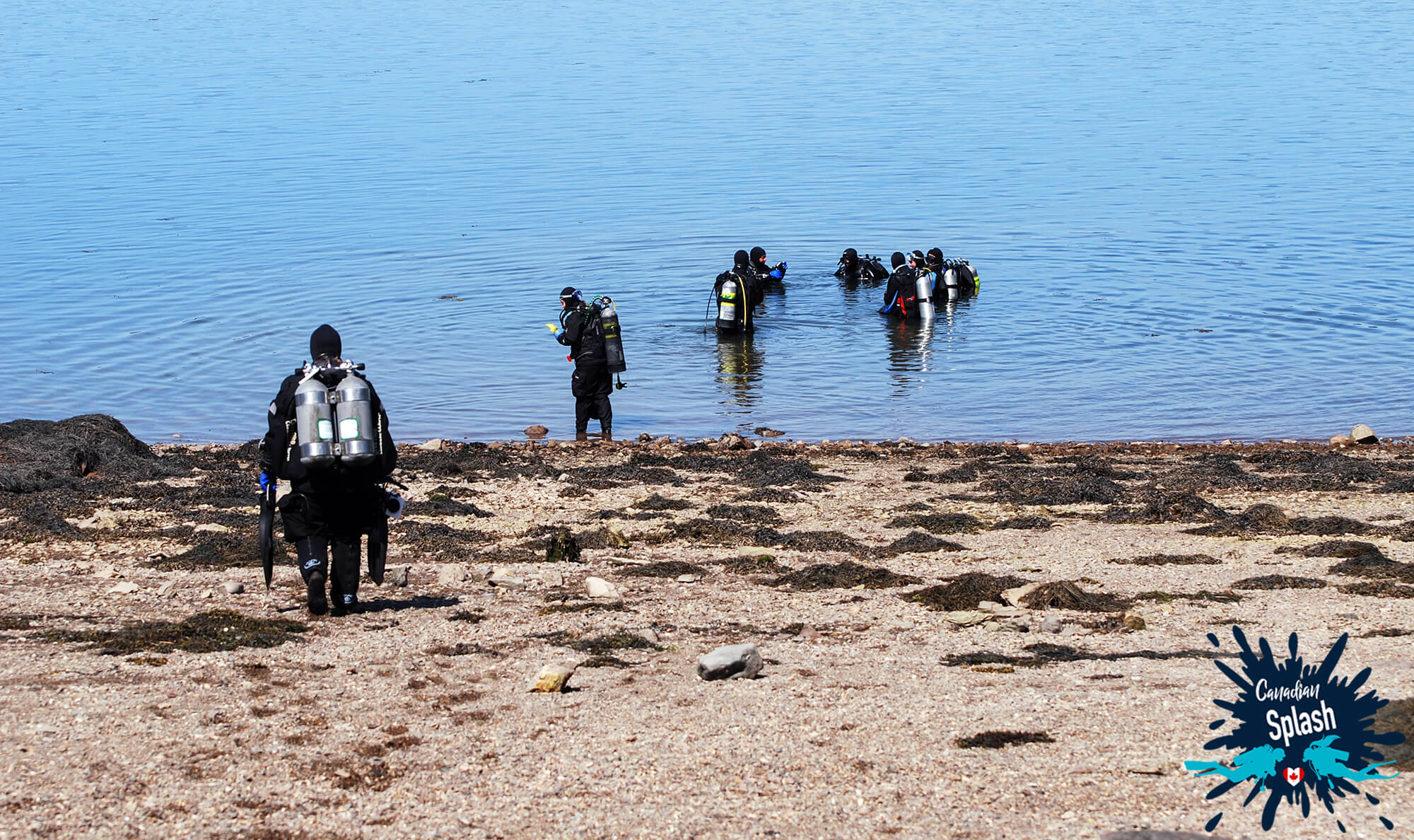 A Group Of Scuba Divers Heading Into The Water At Cancat Beach On Deer Island, New Brunswick, Canadian Splash Scuba Diving
