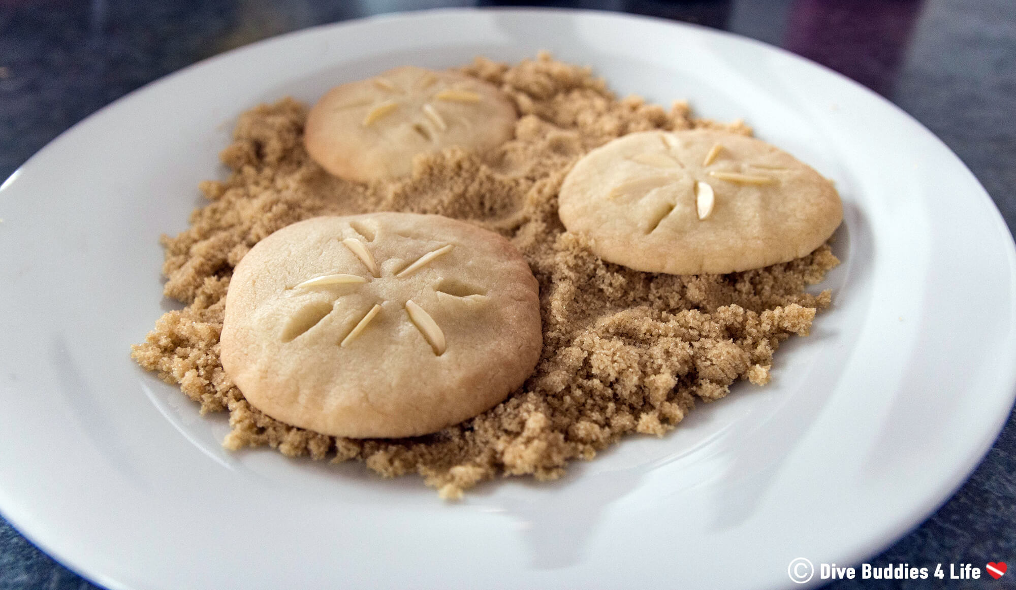 A Plate Filled With Sand Dollar Christmas Cookies For A Scuba Diver