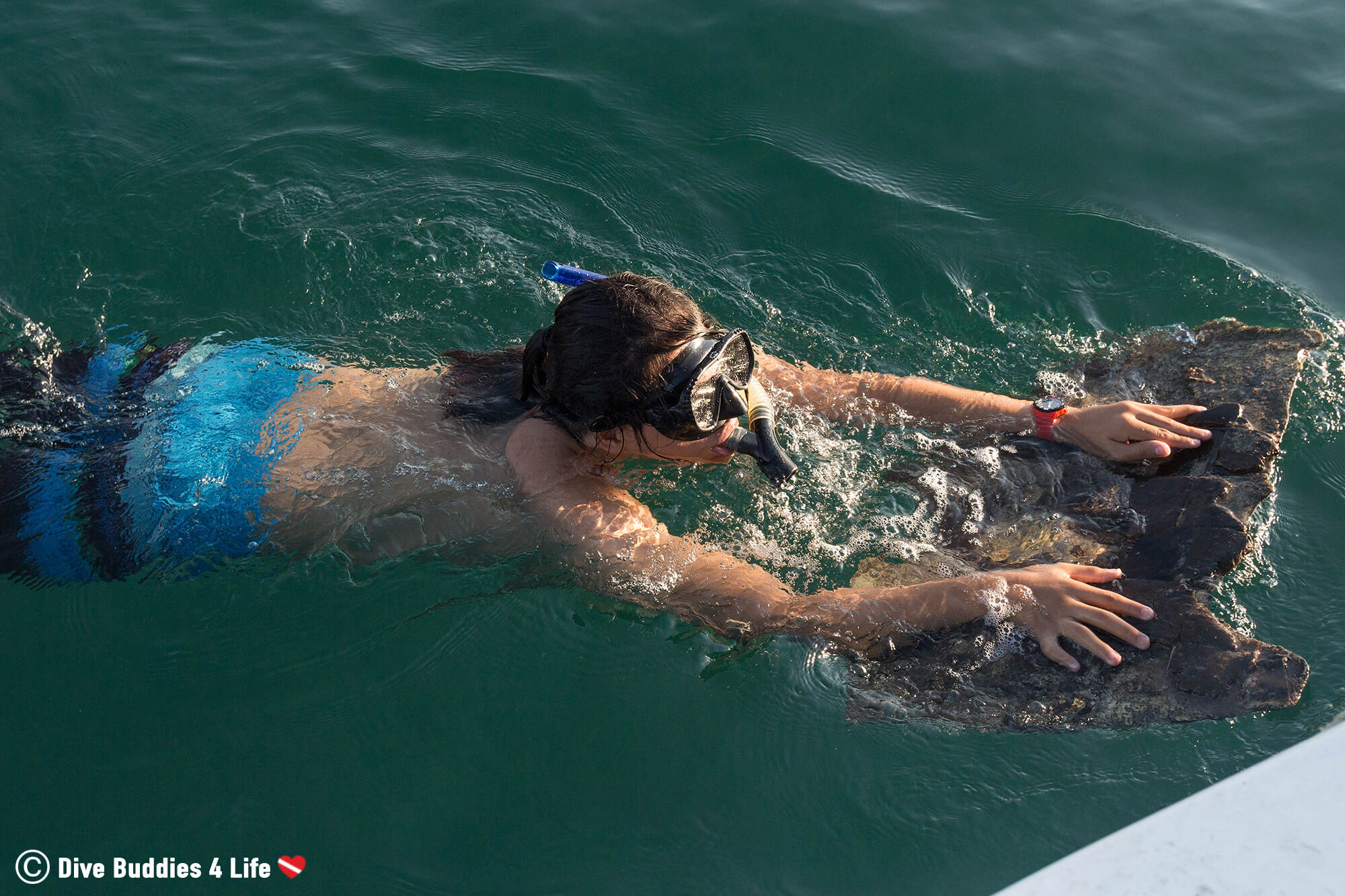 A Snorkeler Bringing In Some Trash From The Dive Cleanup In Zihua, Mexico