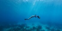 Ali Free Diving With Her Mermaid Hair Loose In The Ocean Of Bonaire, Caribbean