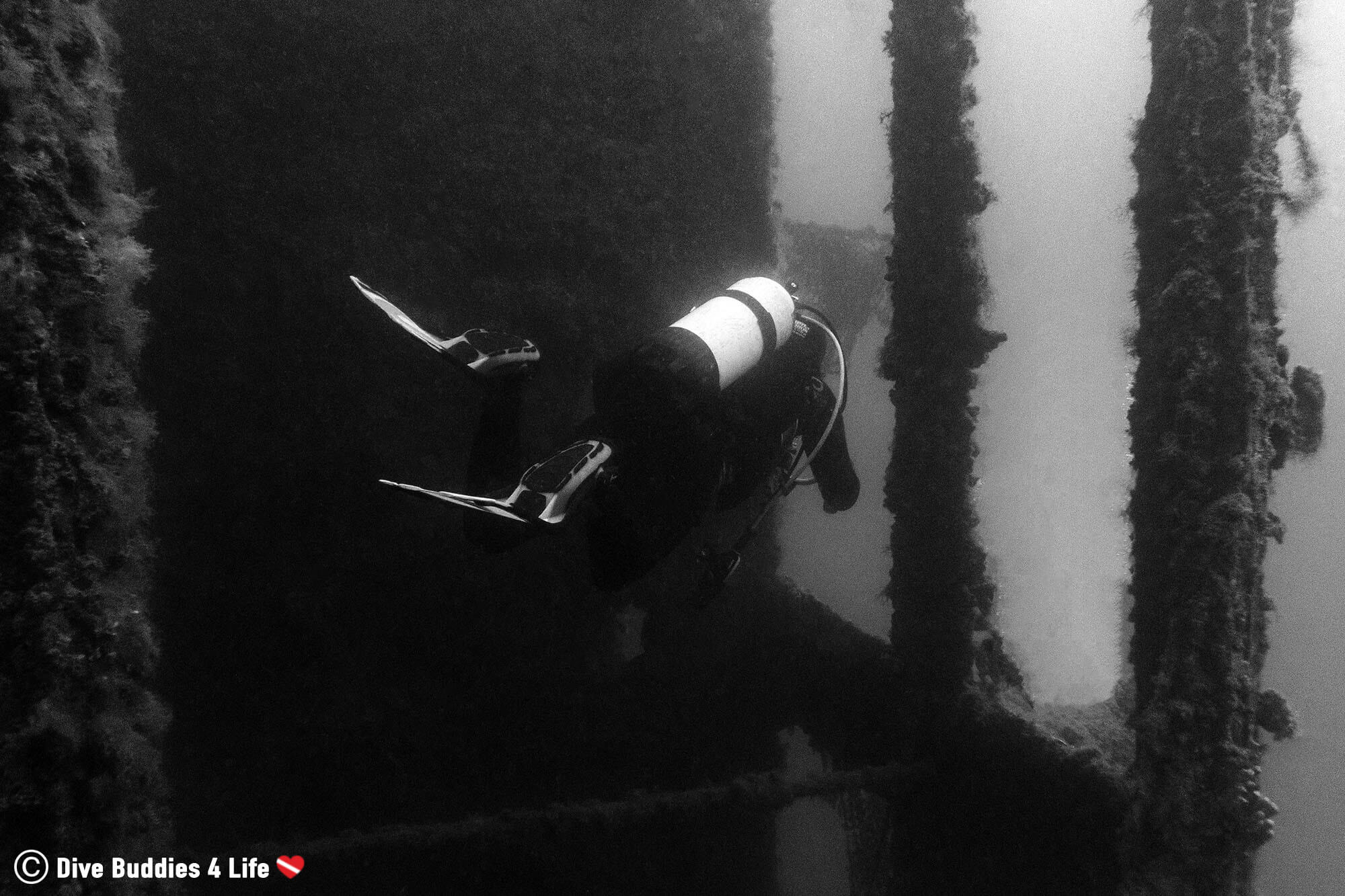 Ali Scuba Diving Through The Massive Albanian Shipwreck In Sarandë, Europe