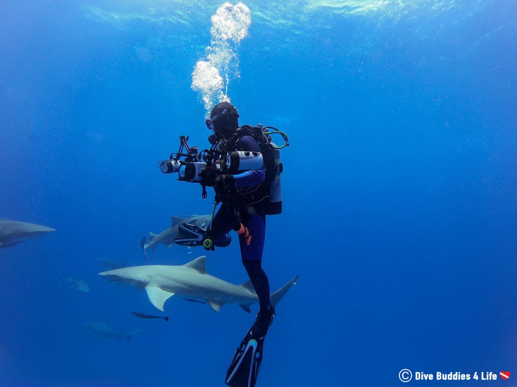 Jupiter’s Shark Infested Waters Dive Buddies 4 Life
