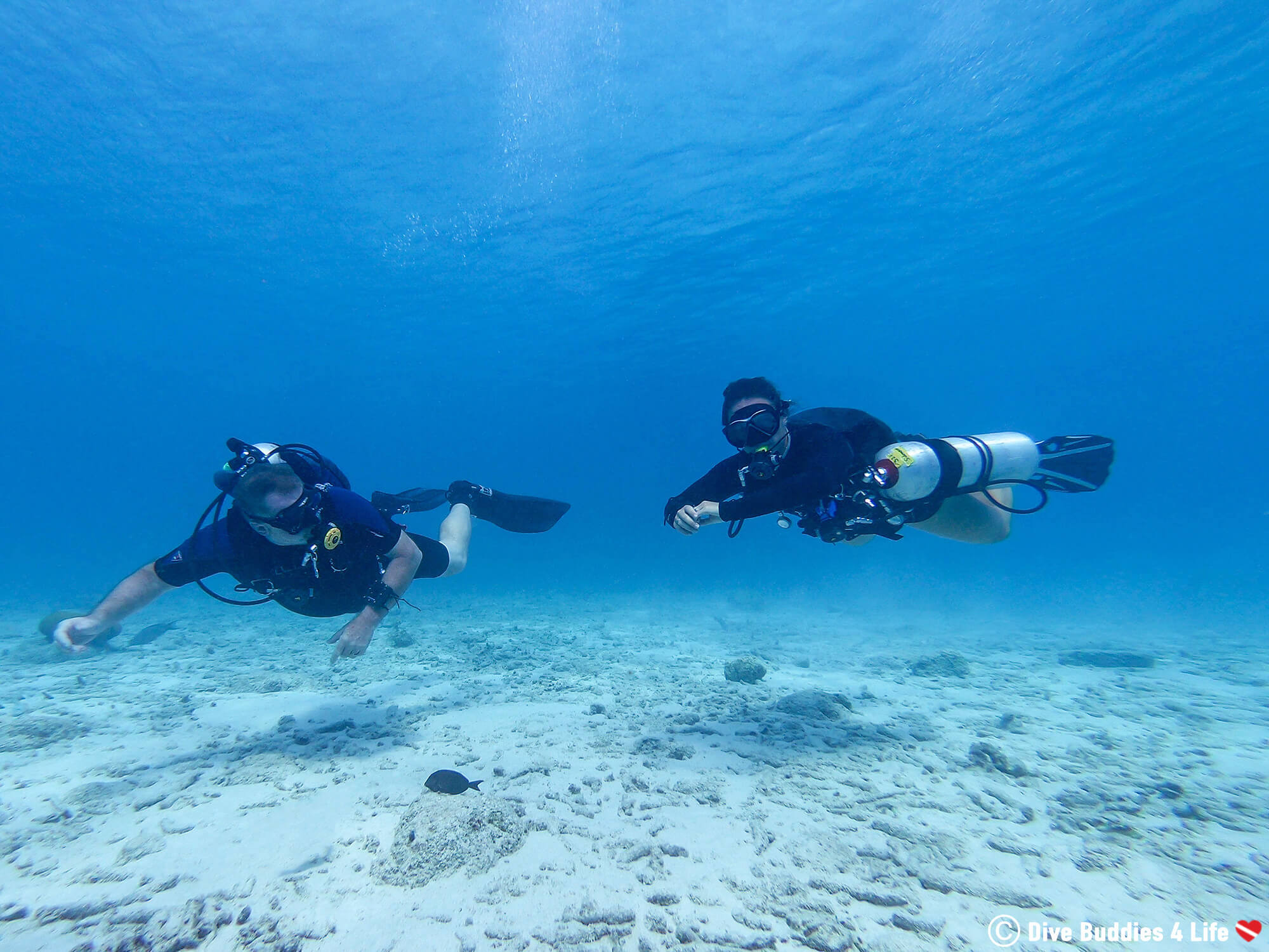 Ali Trying Sidemount Style Scuba Diving At The Bonaire Technical Diving Week, Caribbean