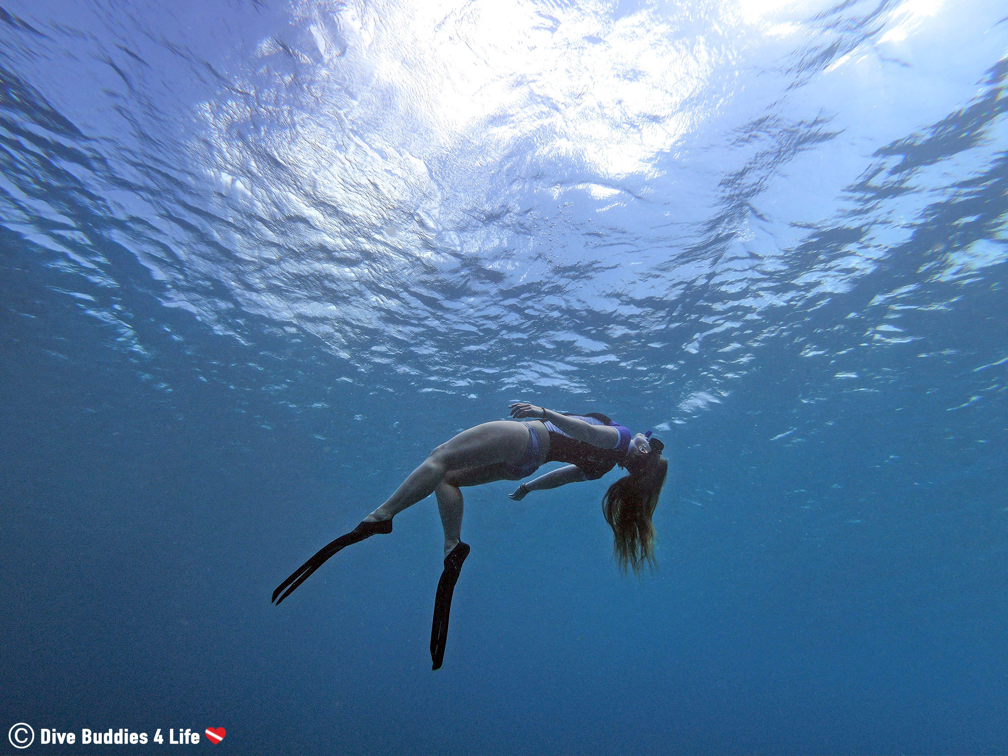 Alisha Floating In The Water With Snorkeling Gear, Bonaire, Dutch Caribbean