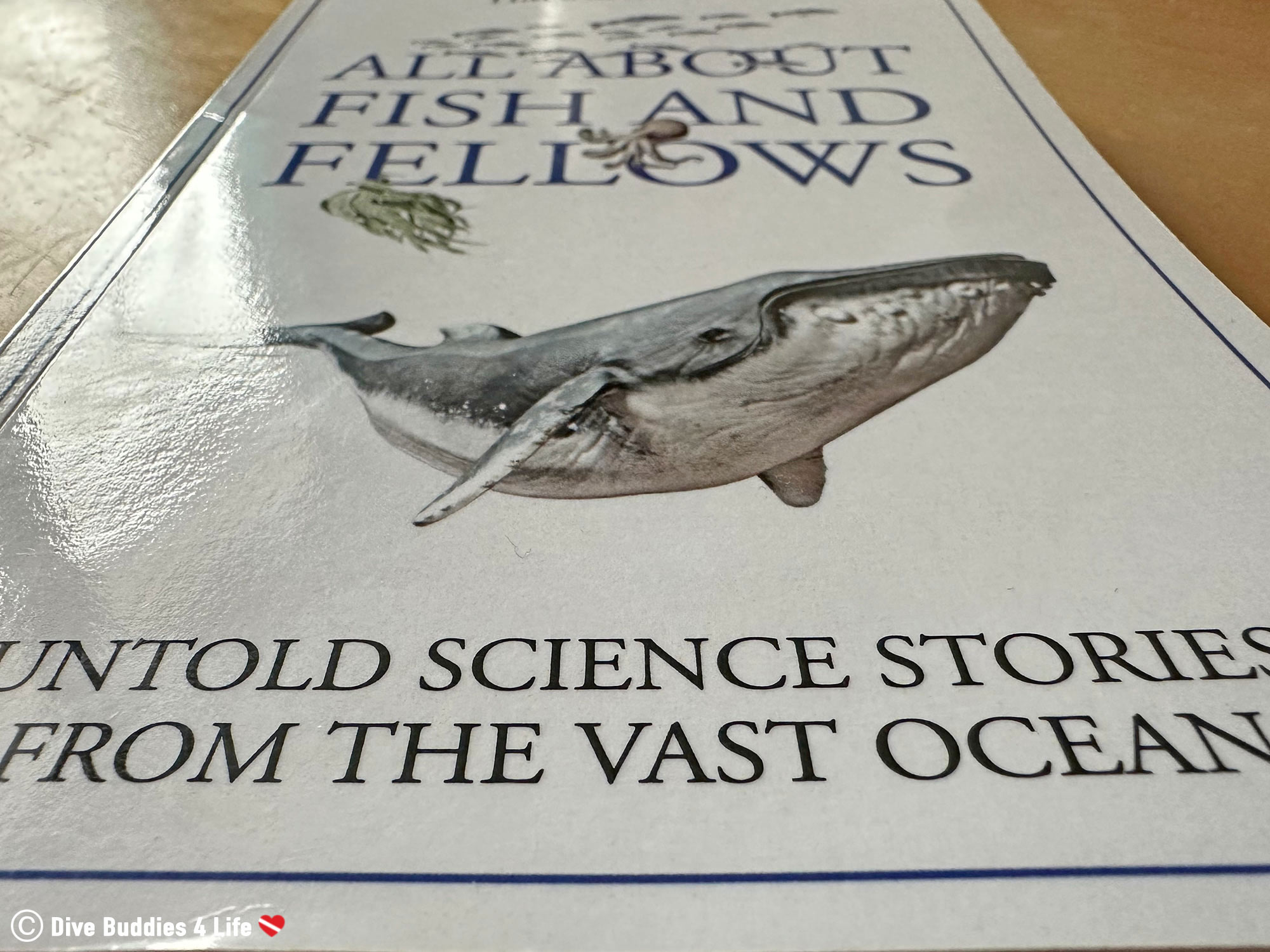 All About Fish And Fellow Novel Cover By Tim Schröder With A Humpback Whale Swimming