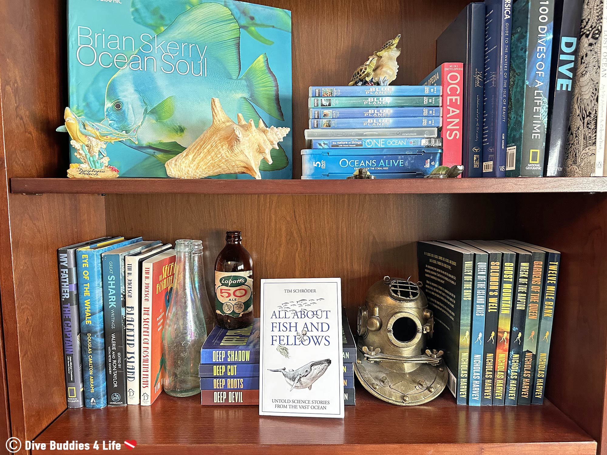 All About Fish And Fellows Science Ocean Book Added To The Scuba Diving Library