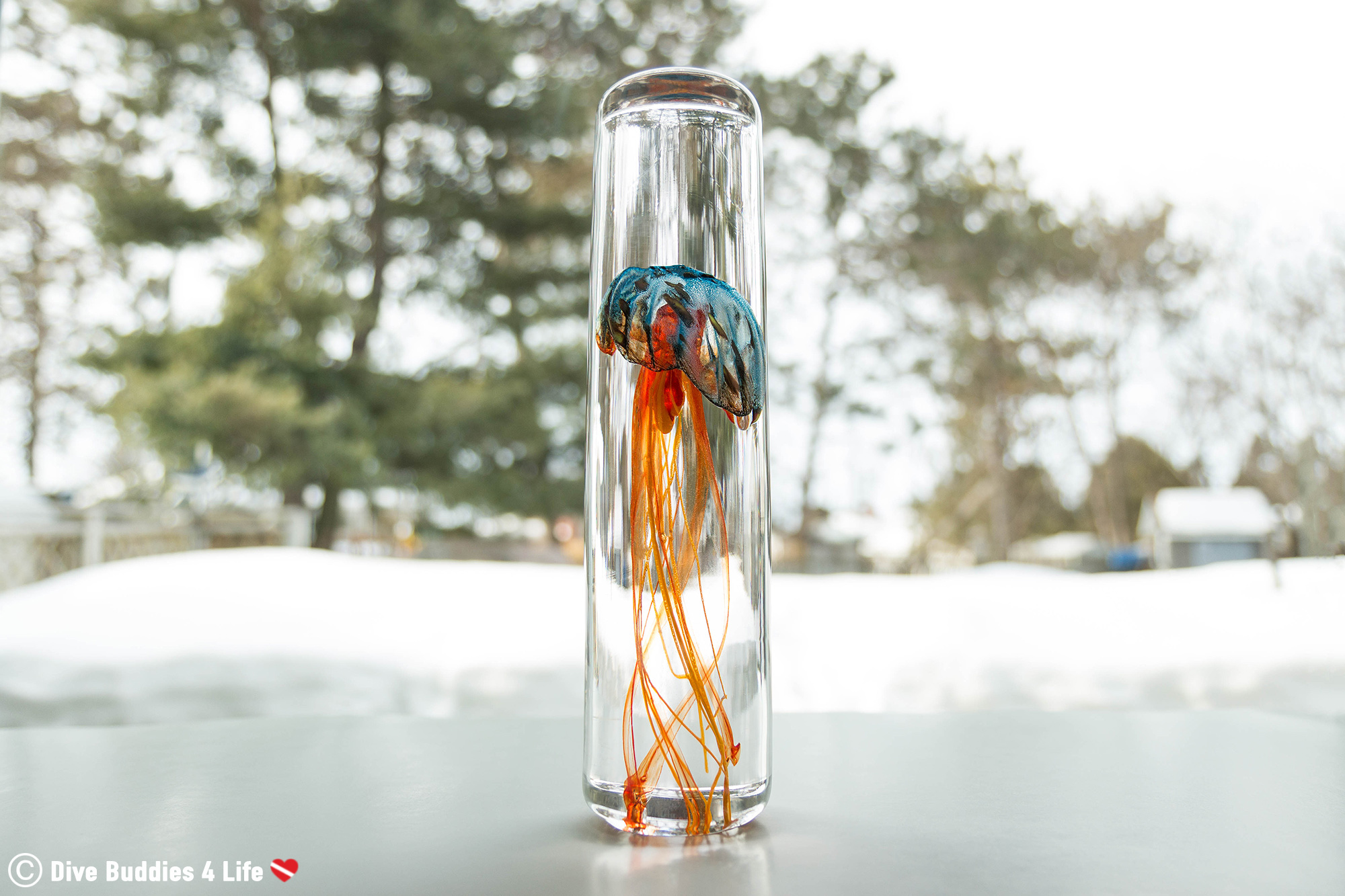Beautiful Orange And Blue Glass Jellyfish Decor
