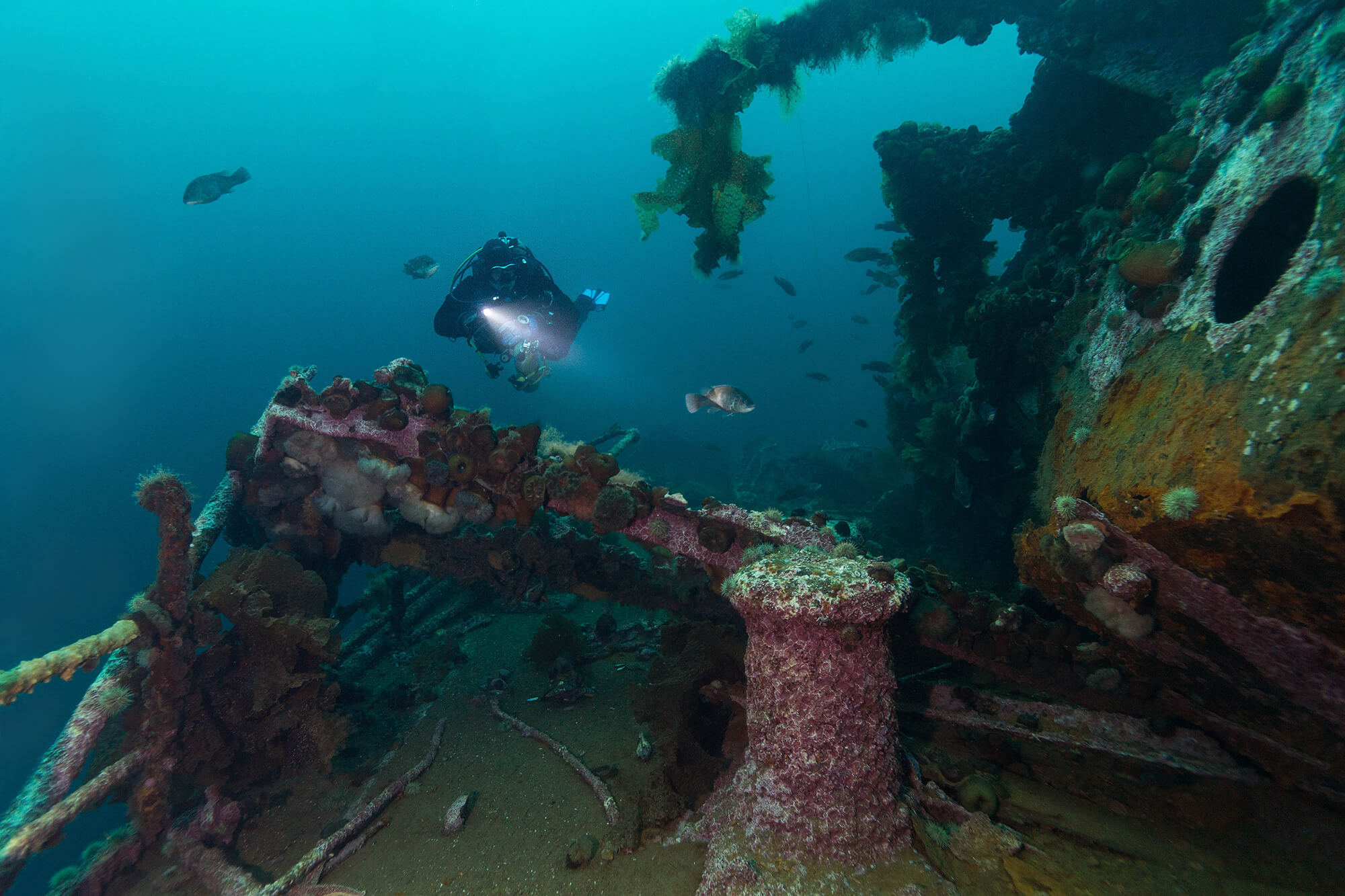 Bell Island Newfoundland Shipwreck Scuba Diving, Canadian Scuba Locations