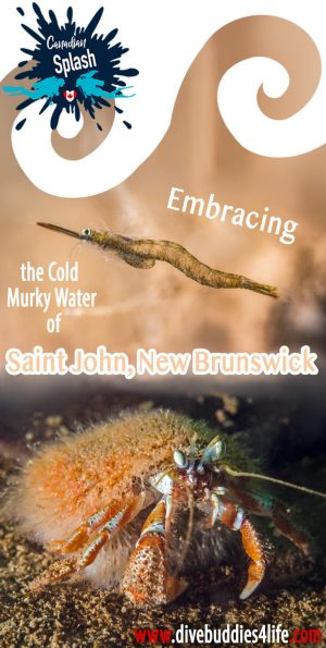 Canadian Splash - Shore Diving In Saint John, New Brunswick