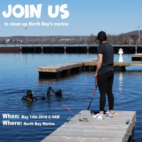 Cleaning Up the North Bay Marina With The Scuba Club