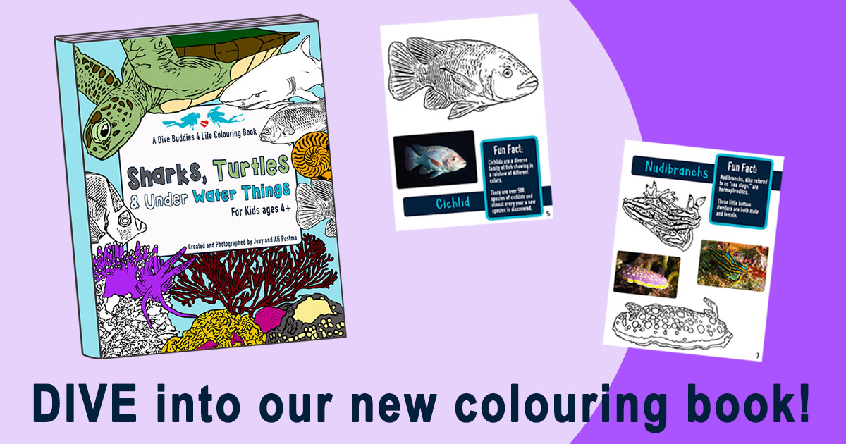 Dive Buddies 4 Life Colouring Book