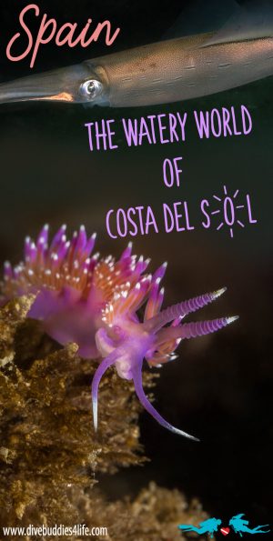 Costa Del Sol Diving Pinterest