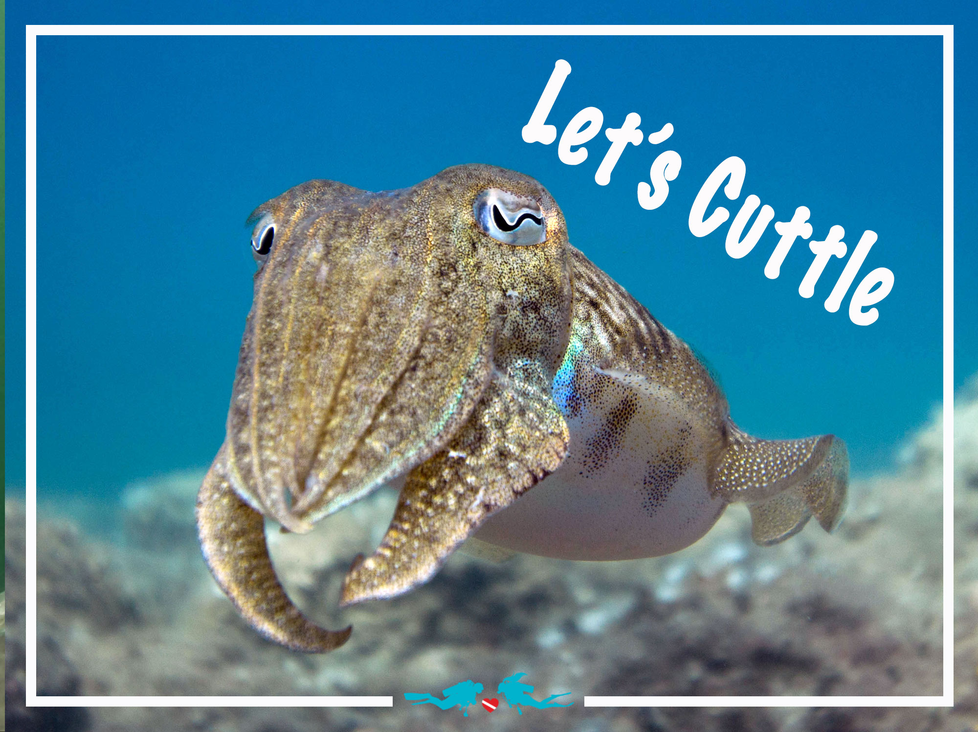 Cuttlefish Valentine's Day Scuba Diving Quote