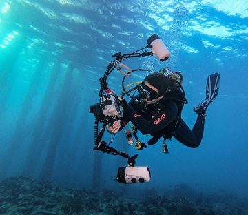 Dive Buddies Shop Underwater Housings