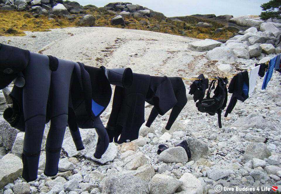 Dive Gear Hanging On A Line Drying In The Wind In New Brunswick, Canada's Maritime Provinces