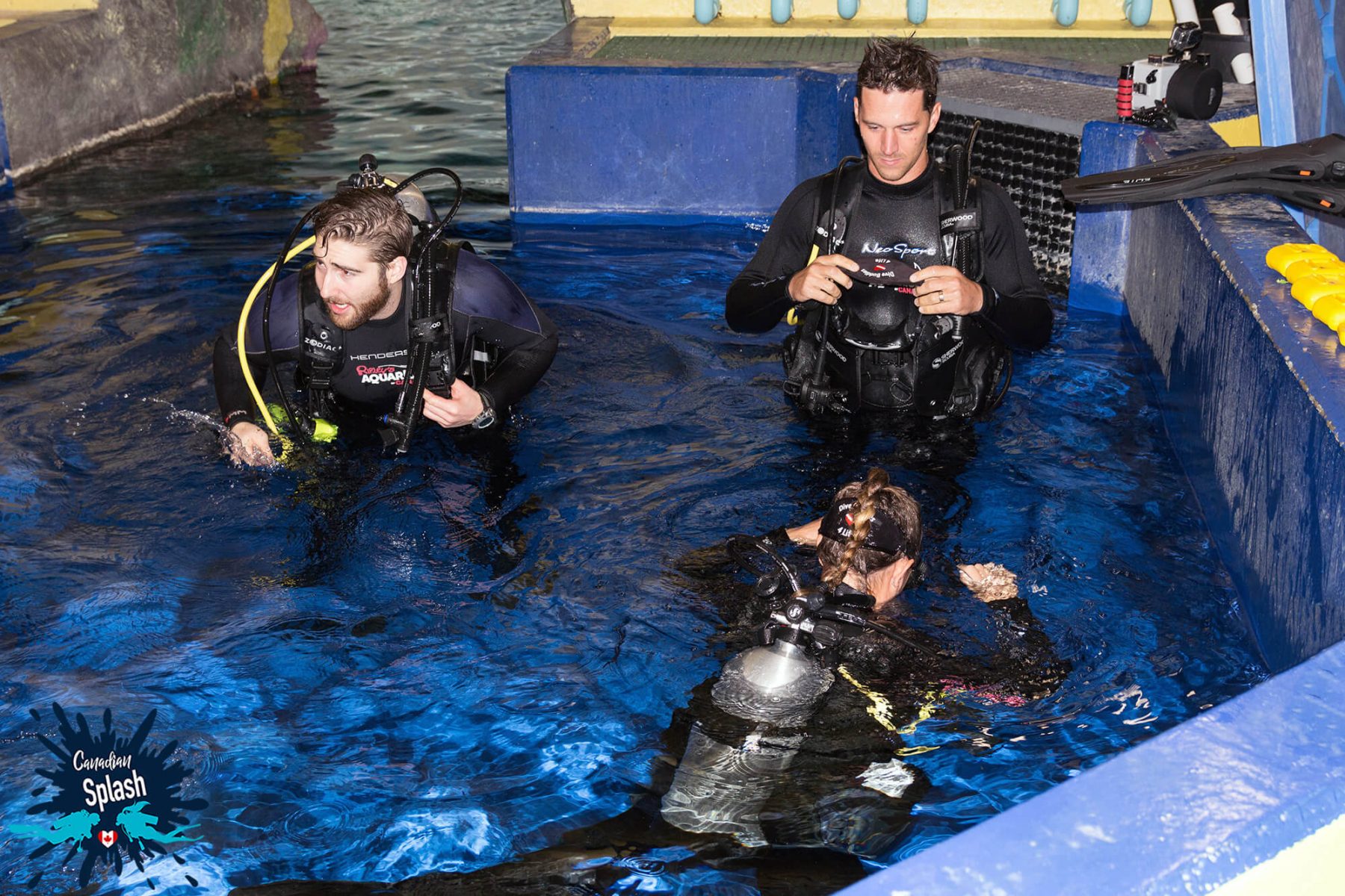 Canadian Splash A Tank Full of Sharks Dive Buddies 4 Life