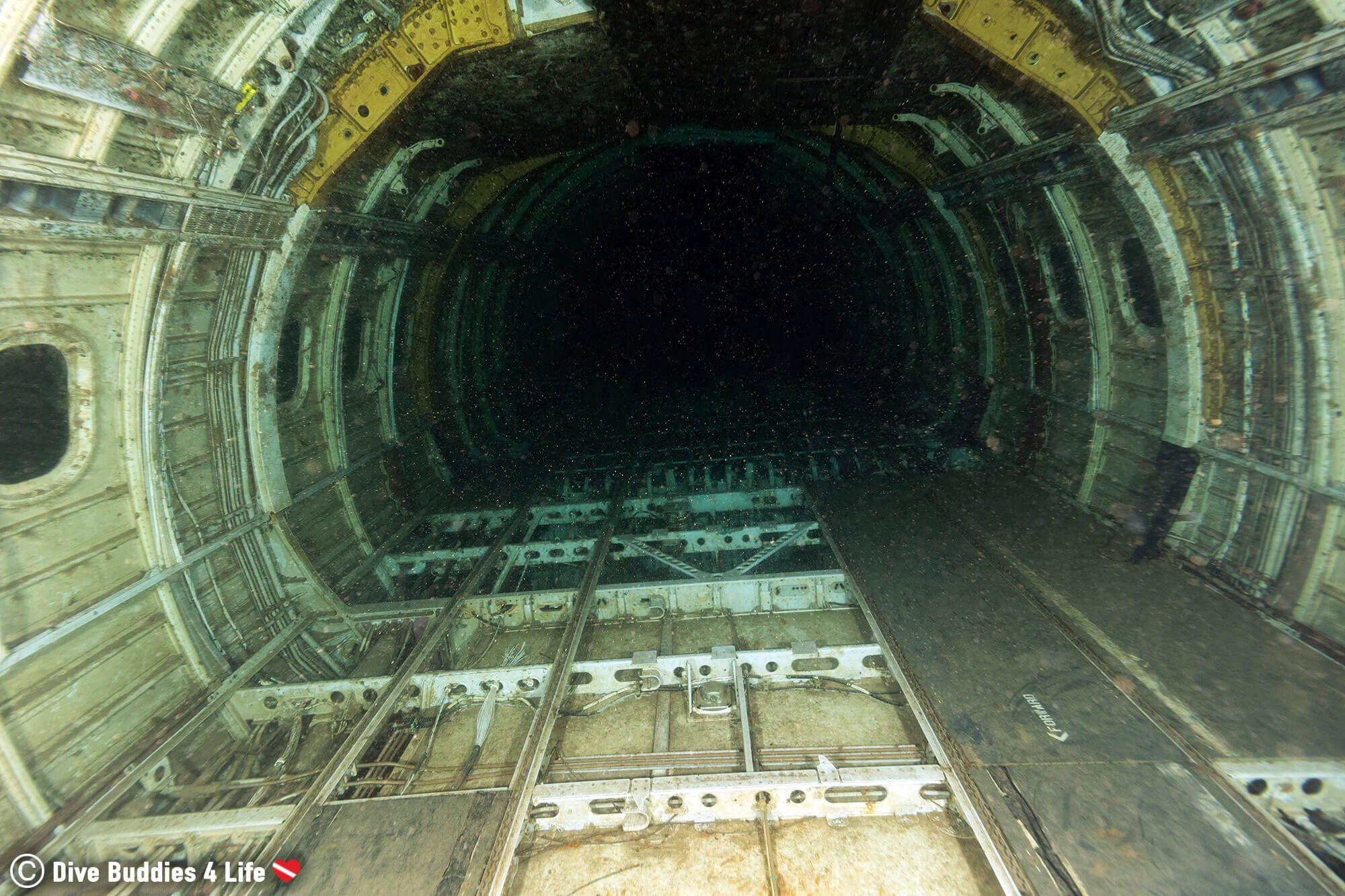 Inside Of The Cargo Hold Of The Sunken Chepstow Airplane, Wales, UK