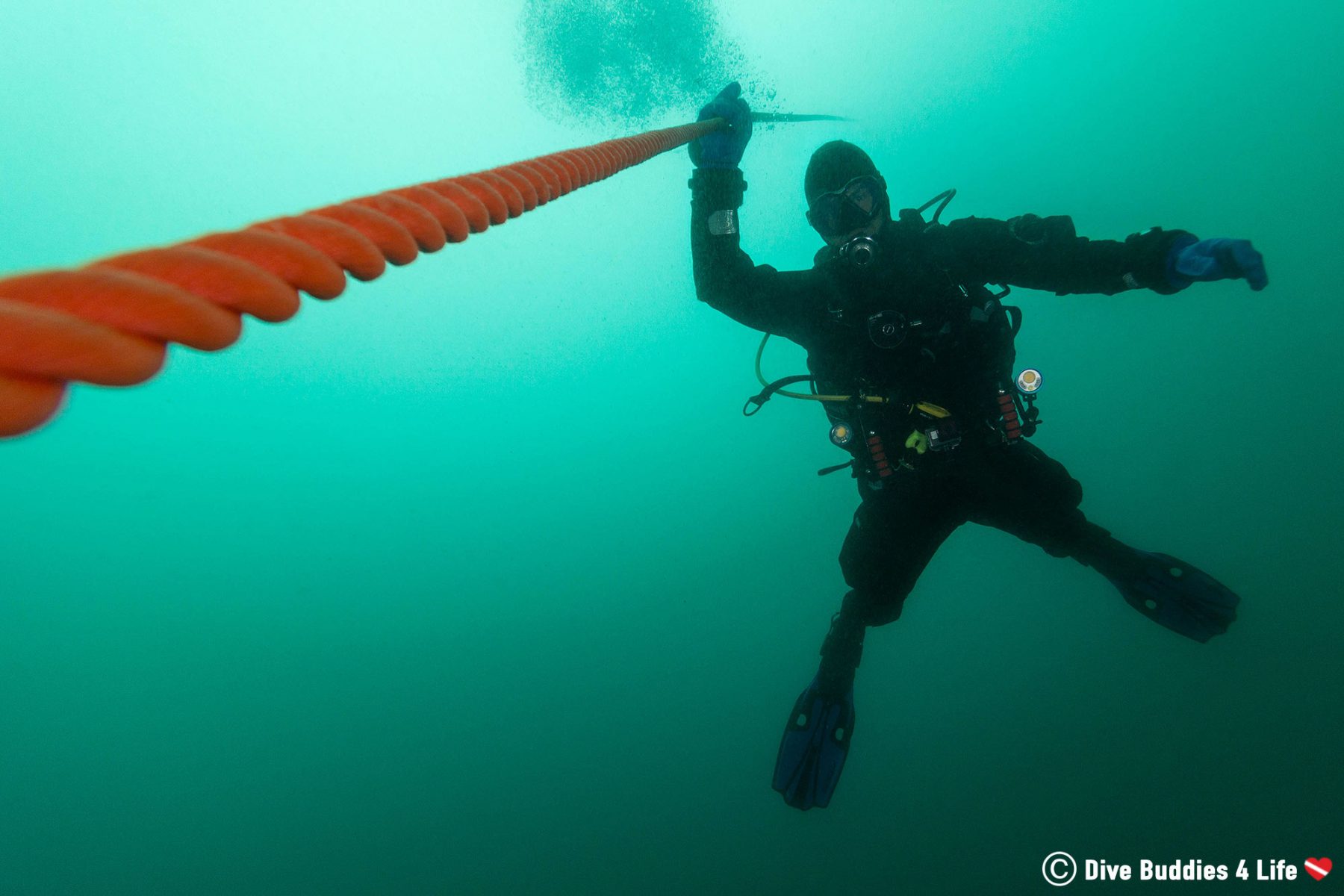 Safety Stops and their Importance in Diving Dive Buddies 4 Life