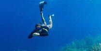 Joey Diving Down Underwater With His Snorkeling Equipment In Bonaire, Dutch Caribbean
