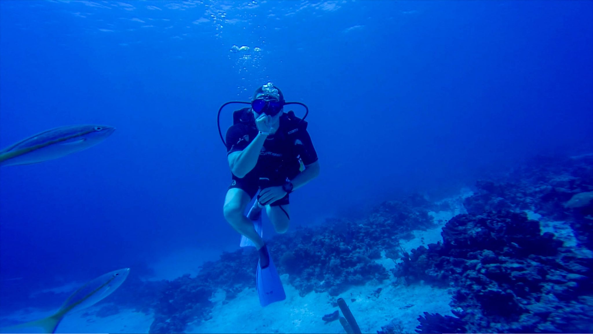 Joey Scuba Diving in Cuba