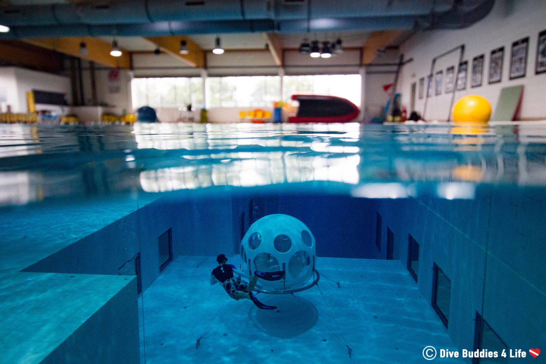 Scuba Diving the Nemo 33 Dive Buddies 4 Life