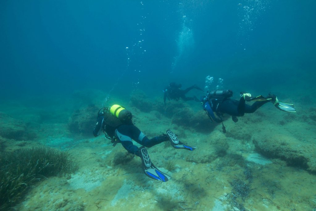 So You Wanna be a Scuba Diver? | Dive Buddies 4 Life