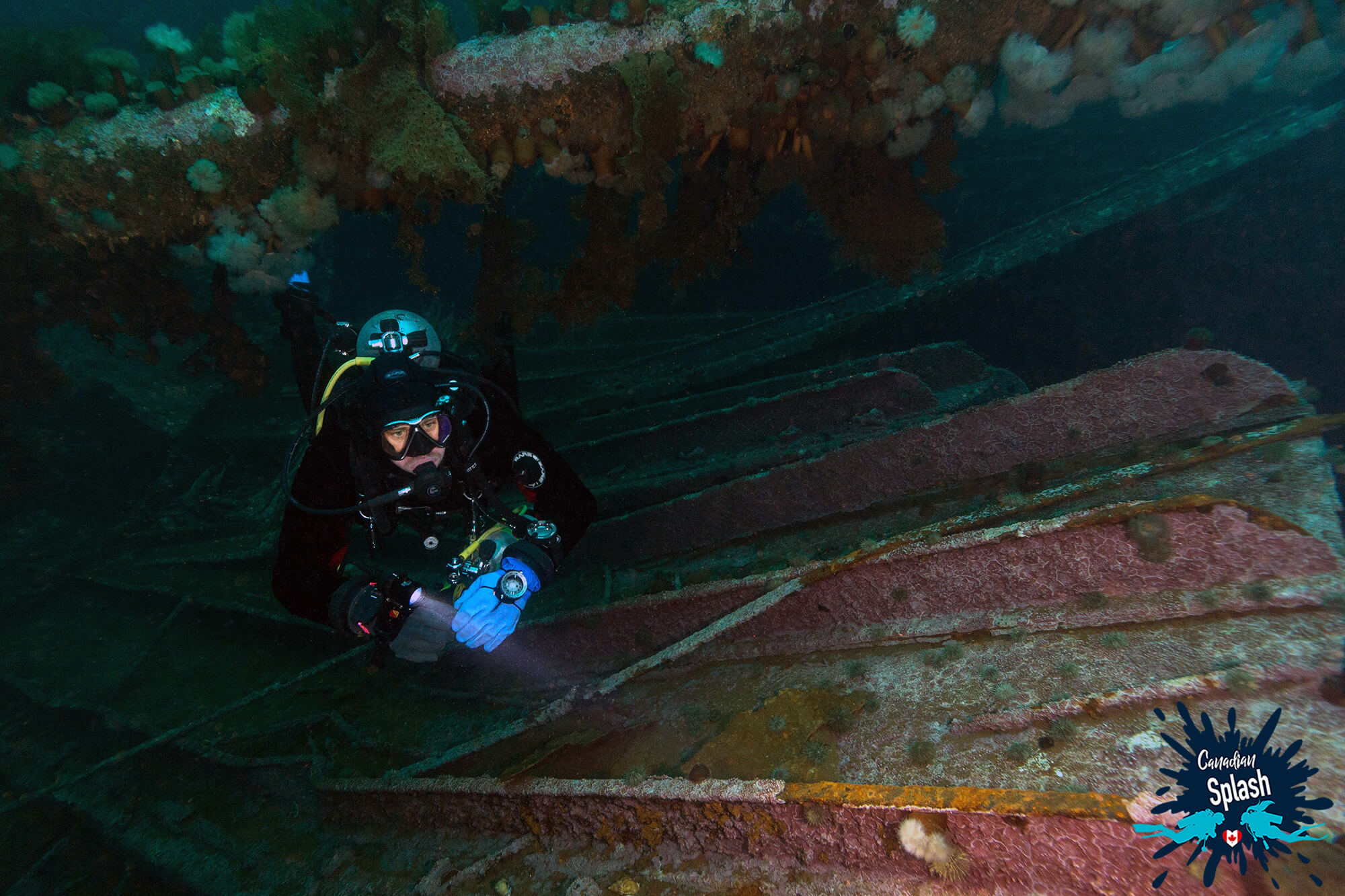 Joey Scuba Diving Under A Piece Of Shipwreck Debris In Newfoundland, Canada
