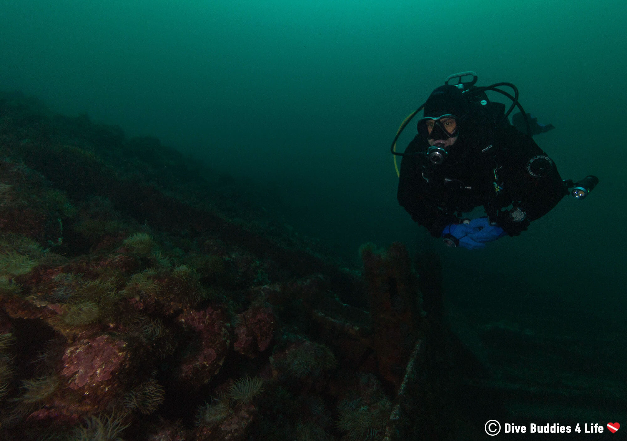 Joey Scuba Diving And Checking Out The Berlengas Shipwreck In Peniche, Portugal, Europe