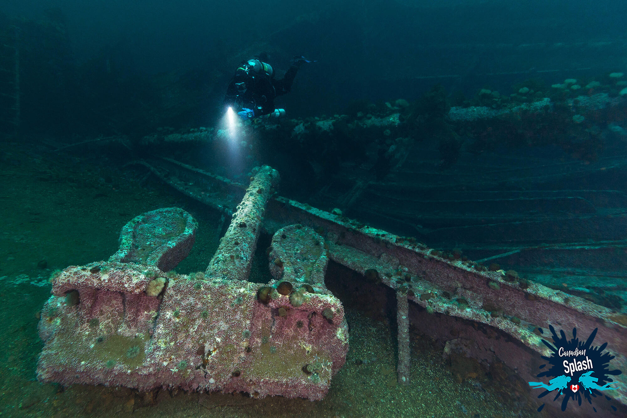 Joey Scuba Diving And Lighting Up A Large Anchor On The Deck Of The Saganaga Bell Island Shipwreck, Newfoundland, Scuba Diving Canada