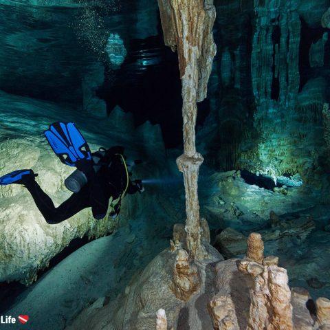 Joey Scuba Diving In Dos Ojos Cavern System, Tulum, Mexico