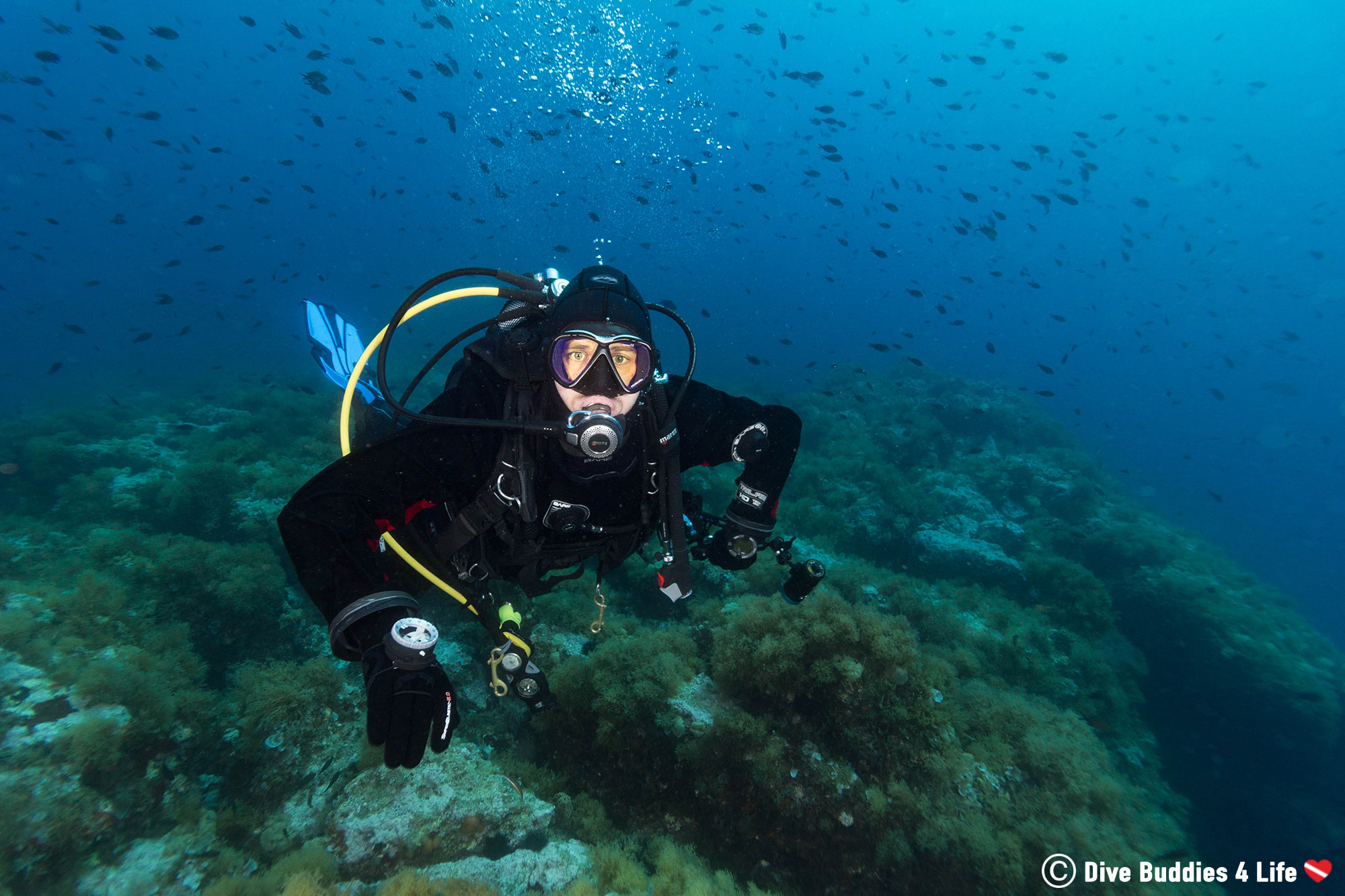 Joey Scuba Diving In The Ocean In Spain, European Diving Adventures