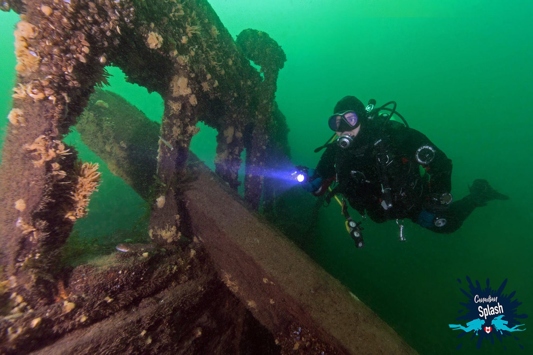 Canadian Splash What Lies Beneath the St Lawrence Seaway Dive