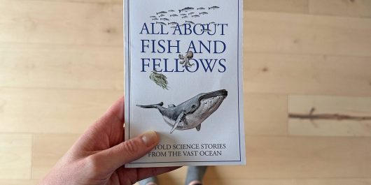 Looking Down At The Novel Cover Of All About Fish And Fellows A Science Short Story Narrative About The Ocean