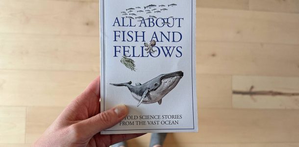 Looking Down At The Novel Cover Of All About Fish And Fellows A Science Short Story Narrative About The Ocean