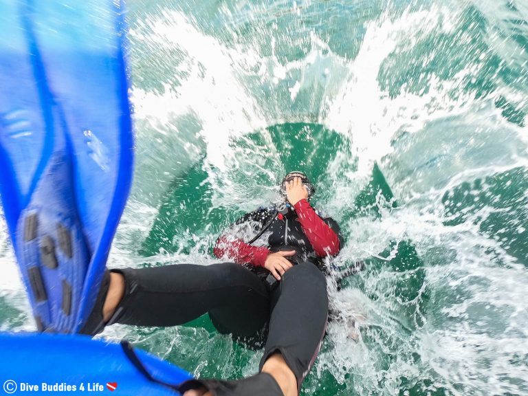 A Guide for Backroll Scuba Entries Dive Buddies 4 Life