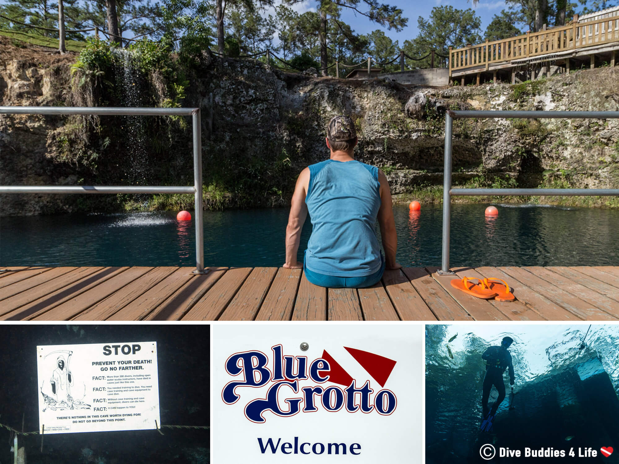 Mosaic Of All The Scuba Diving Things To See At The Blue Grotto Dive Resort In Williston, Florida, USA