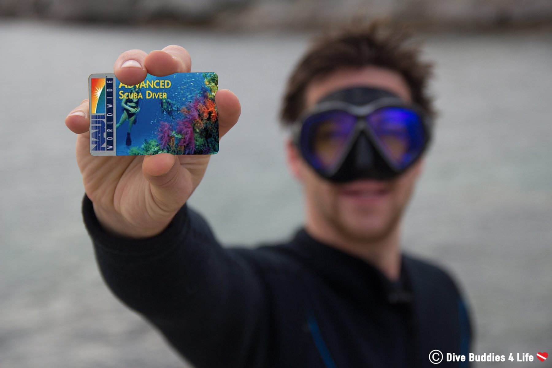 A Look at PADI, SEI, NAUI and SSI Dive Buddies 4 Life