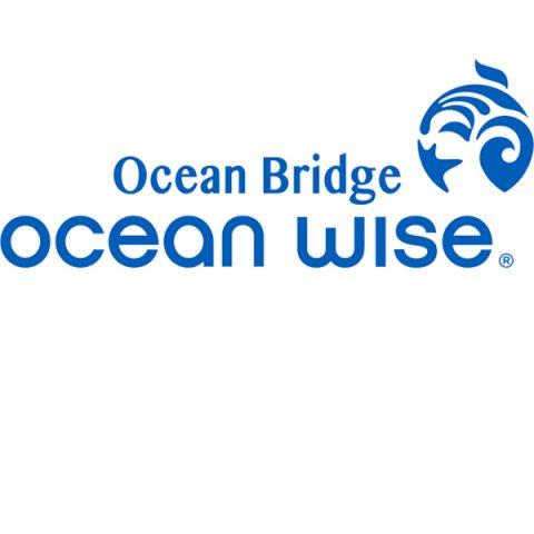 Ocean Bridge Partnership Logo