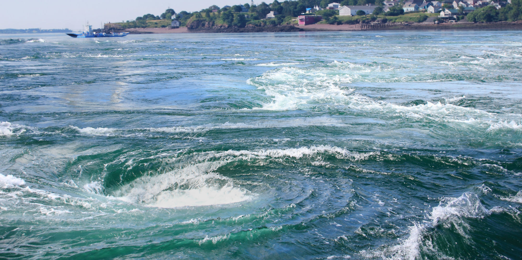 Looking off the Point at the Old Sow Whirlpool on Deer Island New Brunswick