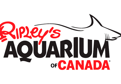 Ripley's Aquarium Of Canada Partner In The Canadian Splash Scuba Diving Project