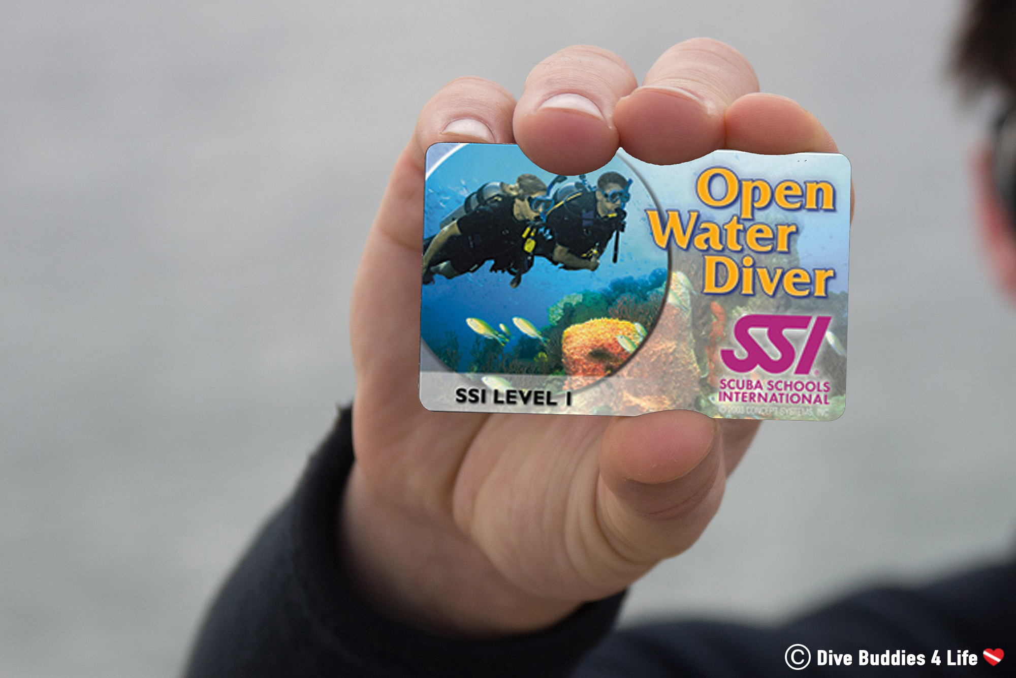SSI Scuba Diving Certification Card Near The Ocean, Scuba Agency Overview