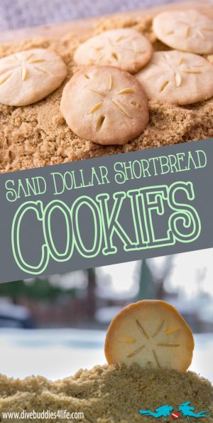 Sand Dollar Shortbread Cookies Pinterest