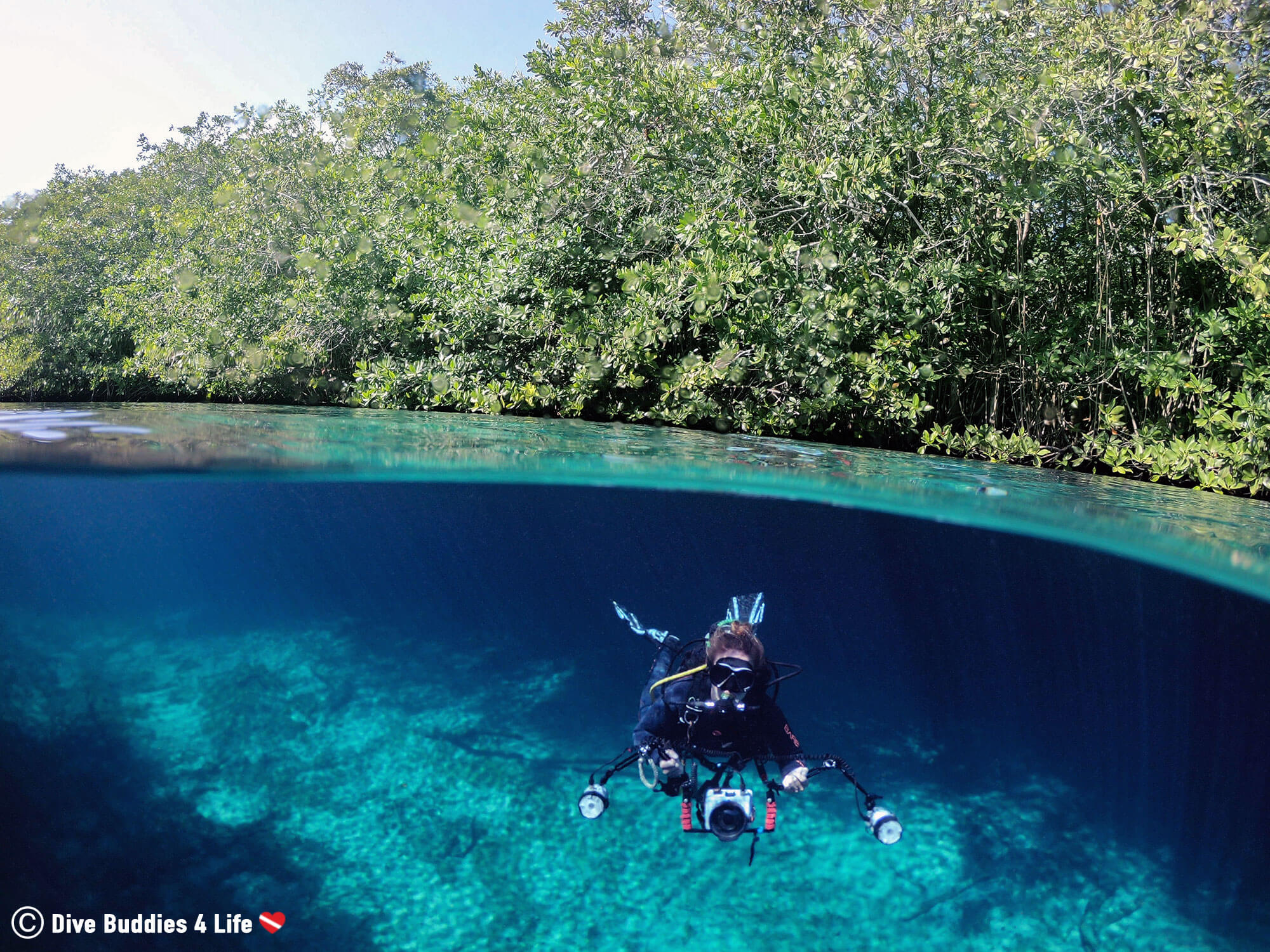 Scuba Diver Ali Swimming Underwater In The Mangroves Of Manatí Cenote, Tulum, Mexico