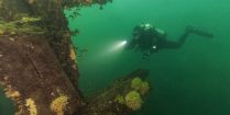 Scuba Diver Joey Lighting Up The Rothesay Shipwreck In Brockville, Ontario, Scuba Canada