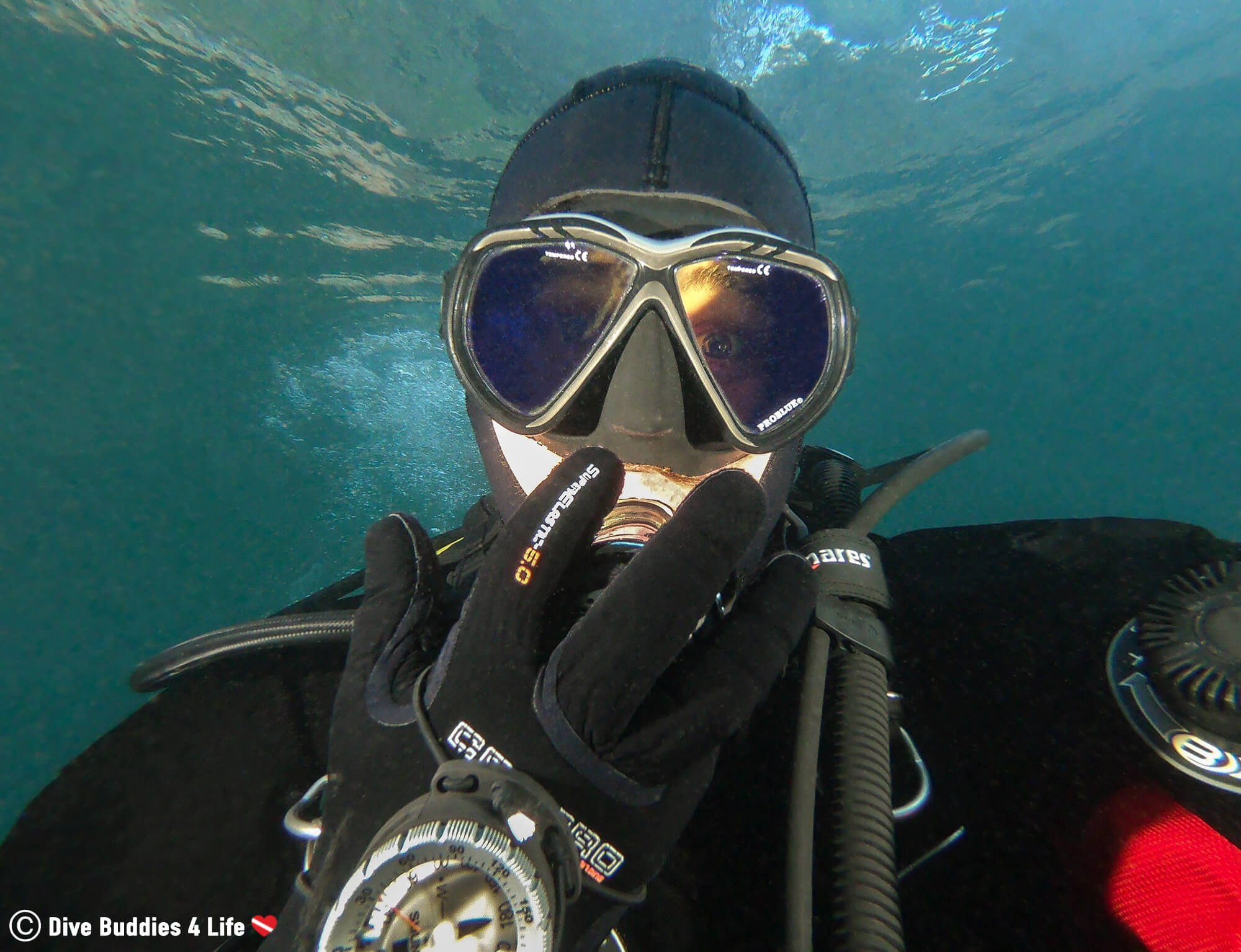 Scuba Diver Joey Looking Surprised At The Amazing Ocean Life In Costa Del Sol, Spain, Europe