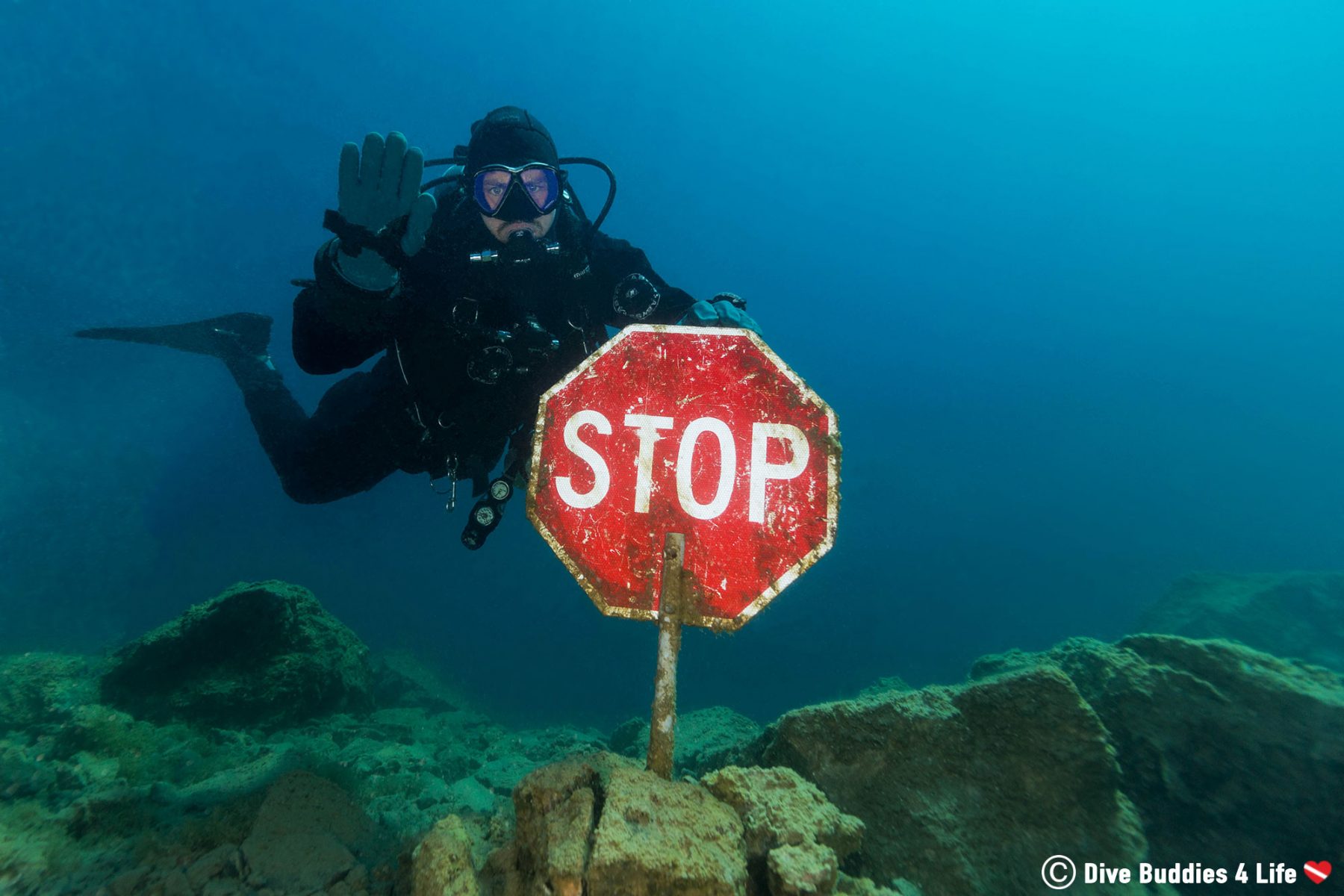 Safety Stops and their Importance in Diving Dive Buddies 4 Life