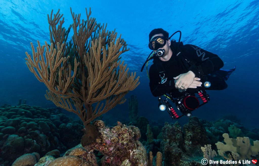 Bonaire The Bonaire Scuba Bucket List Dive Buddies 4 Life