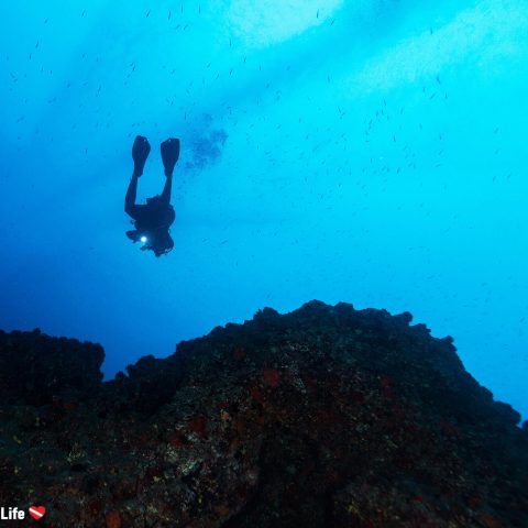 Scuba Diver And An Ocean Lava Wall in Lanzarote, Canary Island, Spain